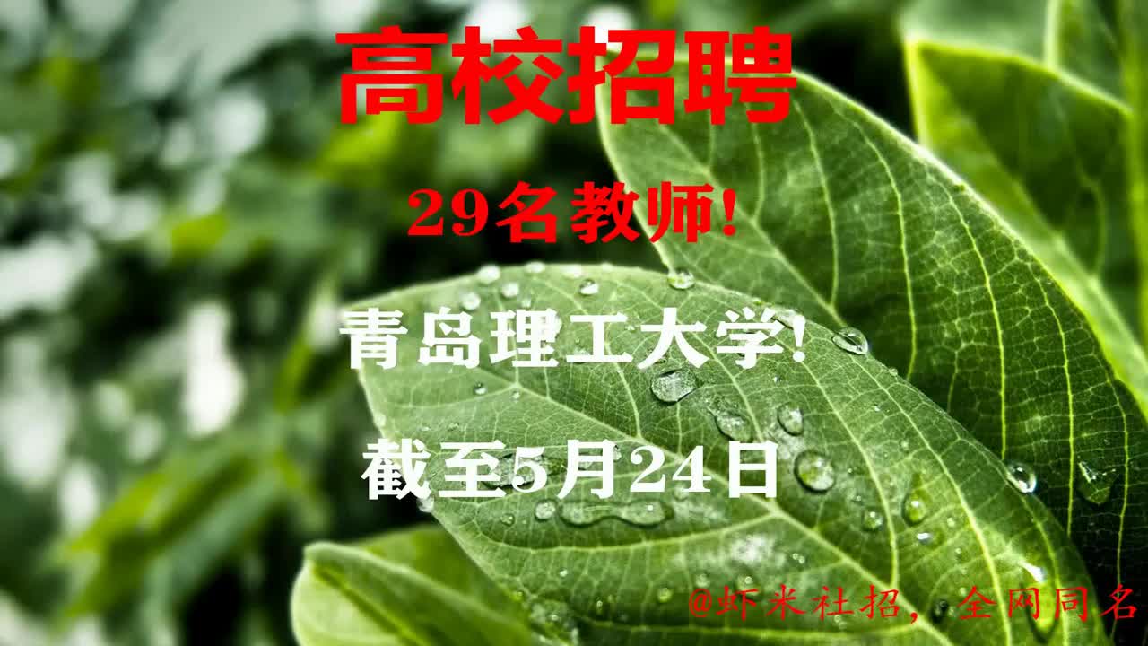 青岛招聘老师(青岛招聘老师网)