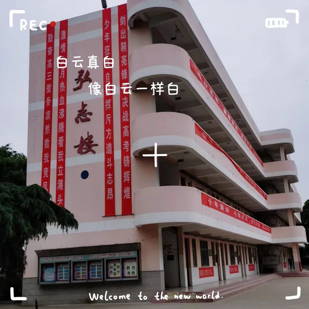 堅守教育本真 靜待花開繽紛——鹽城市龍岡中學發展建設巡禮(一)_校園