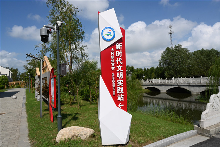 盐城市盐都区大冈镇新时代文明实践所(站)成为精神文明建设一道靓丽的