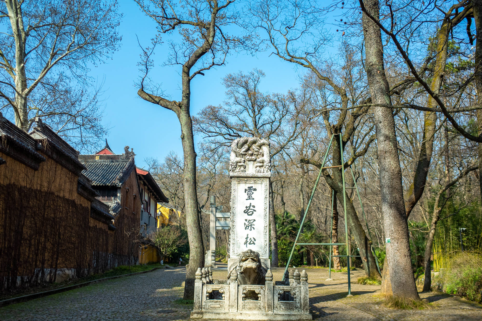 紫金山中的千年古刹灵谷禅寺玉兰花开春满园美得让人惊艳