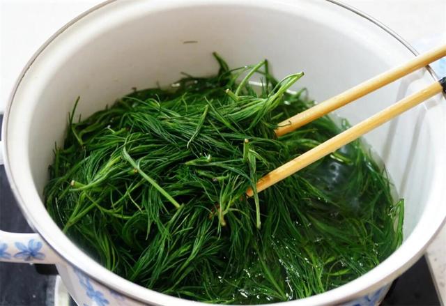 风滚草入侵美国堵路淹屋无恶不作为何在我国却很难长大