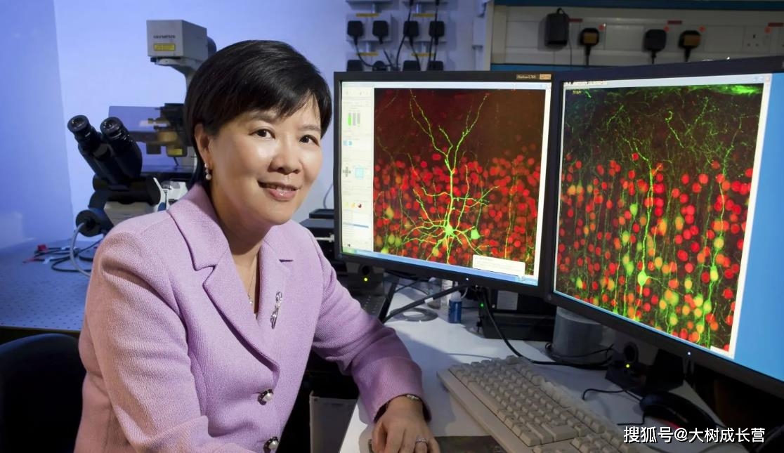 小学到博士均为全奖叶玉如院士任港科大校长30年来首位女校长