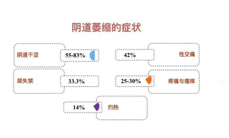 为何让女性如此困扰?_阴道_盆底_治疗仪