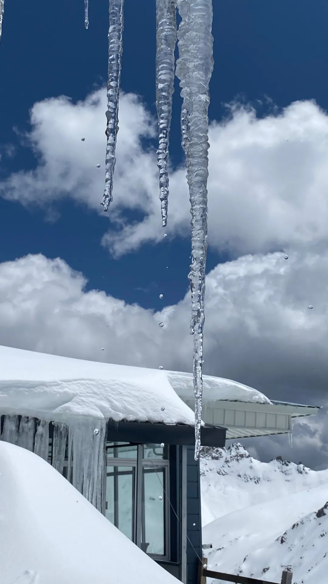 與雪相伴一文告訴你夏季去達古冰川玩雪是什麼體驗