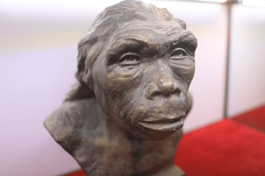 西安蓝田猿人旧址100万年前的人类为什么选择秦岭生活