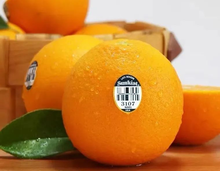 奇士_水果_品牌