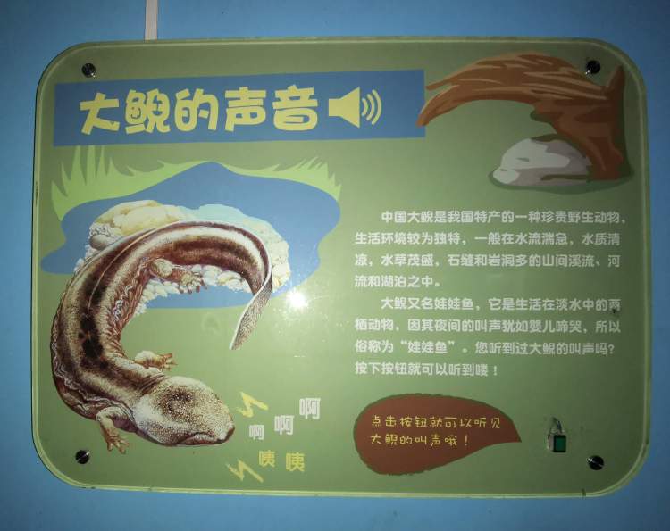 暑假去上海动物园试试不一样的玩法,解锁一个全新的遛娃宝藏……_展区