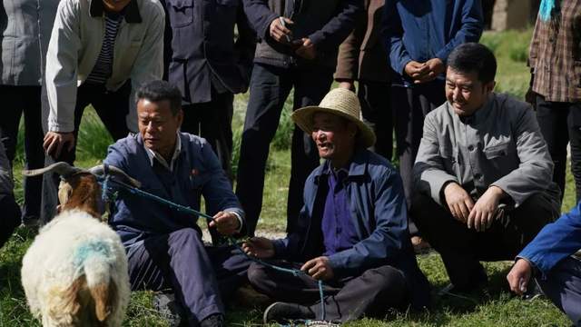 牧民省长尕布龙脚踏实地践行为人民服务的当代焦裕禄