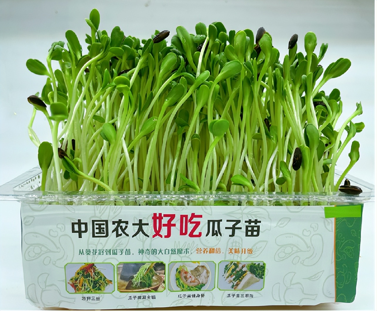 图:瓜子苗与常见蔬菜营养对比据王建华称,在瓜子苗这个品类里,目前