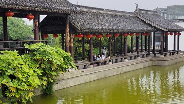 上海首个复园的郊野公园今迎客，游客称拥抱大自然的感觉真好