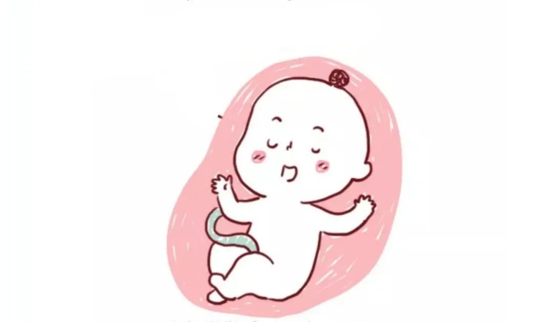 wenno孕妇熬夜时胎儿在做什么孕妈看完纷纷表示不敢再熬夜