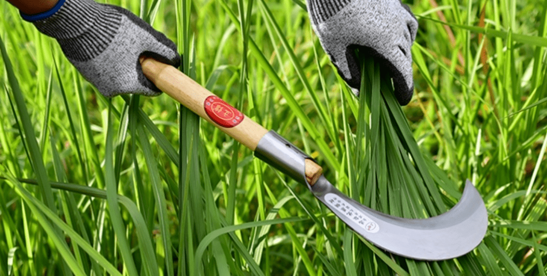 传出提现困难后 数藏平台Ibox换新马甲继续