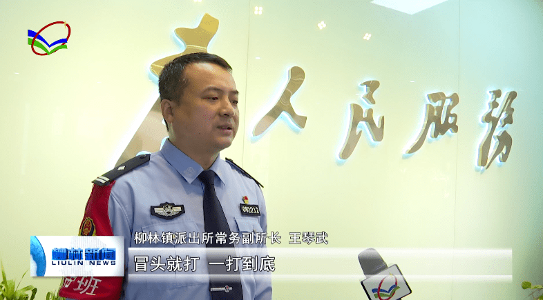 【采访:柳林镇派出所常务副所长 王琴武我镇派出所将在县公安局的正确