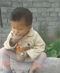 ed670bc364d84ef5ba4d2a2627cfb6be.gif