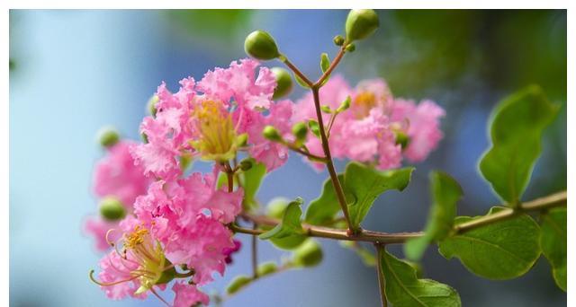 5月26日星座日运 天蝎运势一般 双子表现中肯 双鱼桃花运上涨 事情 建议 生活