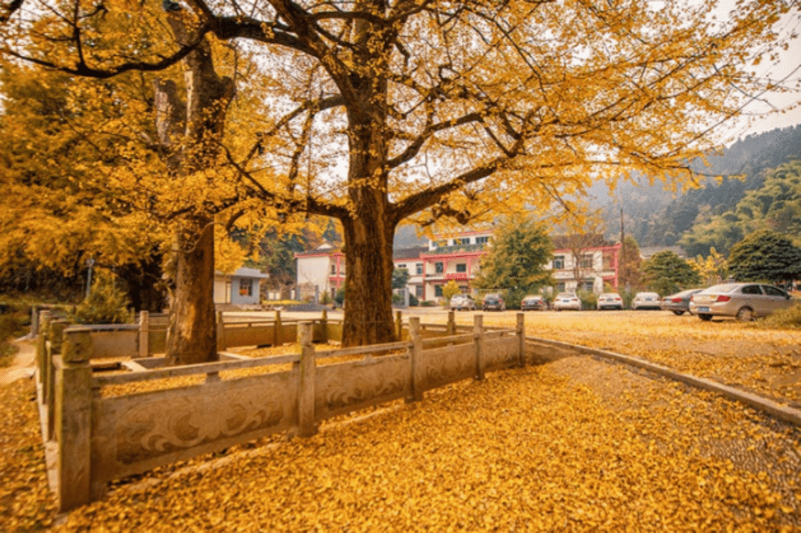 九峰山森林公园,位于双峰县东南部30千米,在石牛乡,荷叶镇与衡阳县接