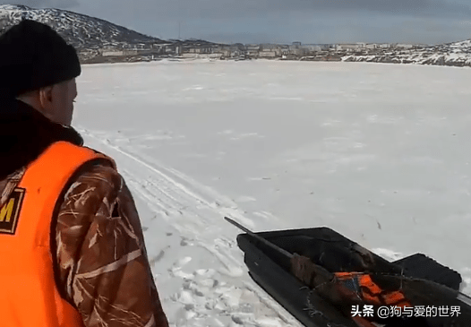 渔民发现冰面上有一个会动的黑点,跟踪了几天后才发现……_狗狗_小黑