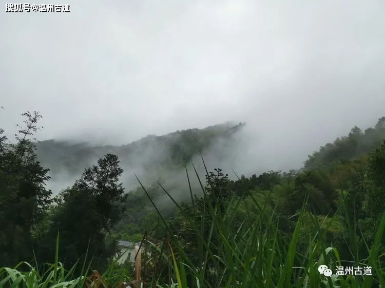 逸情云上，臻享安夏