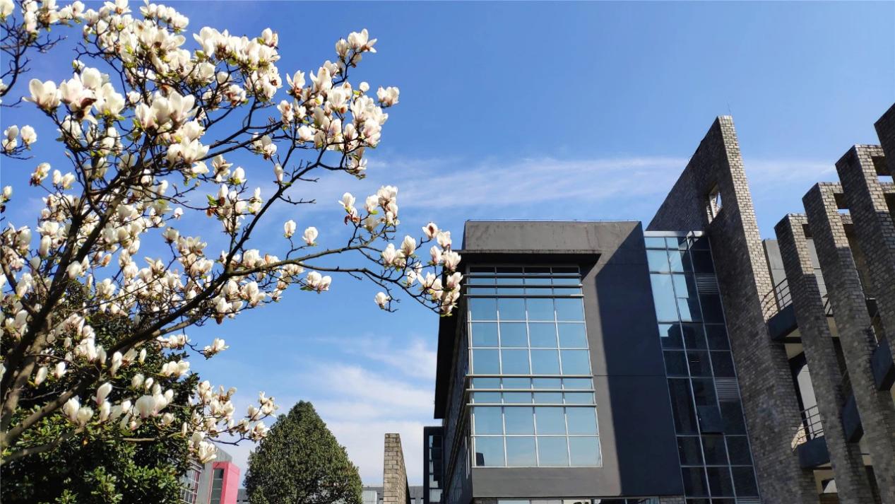 成都东软学院好不好高品质校园生活图鉴