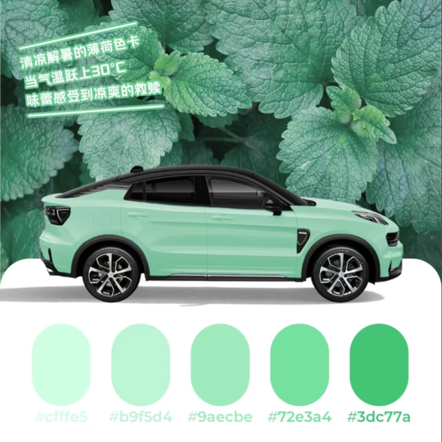 清凉解暑的薄荷色卡适合温柔软糯的领克车主饱满鲜嫩的冰西瓜色西瓜是