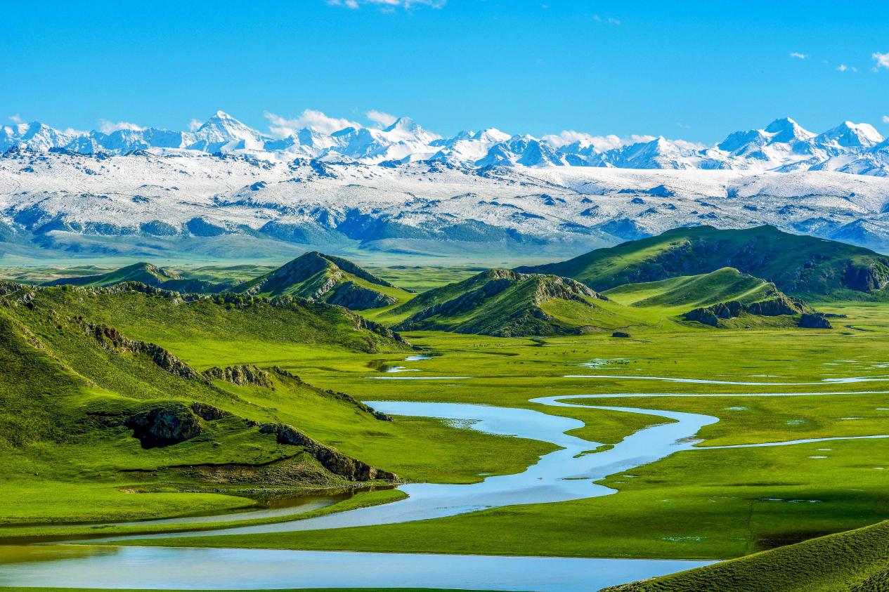 什么是草地碳汇_草原_土壤_多种类型