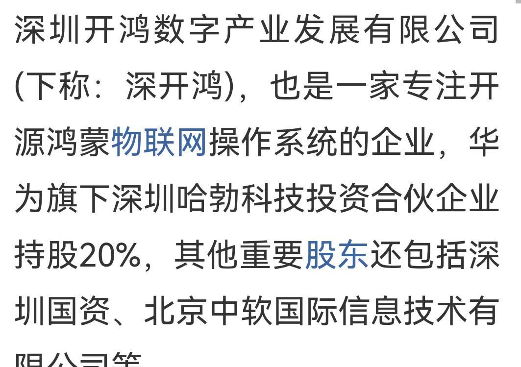 原创开源鸿蒙深开鸿王成录物联网