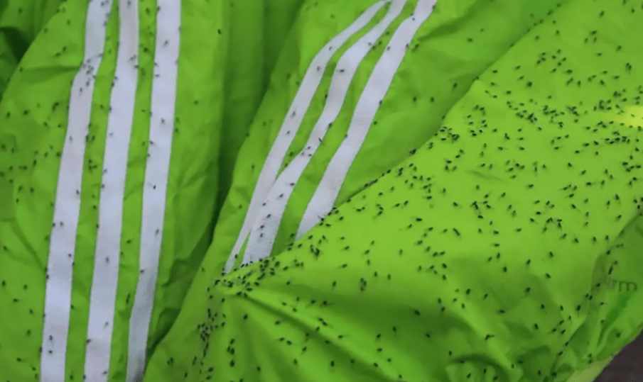 原创紧急提示最近要少穿黄色和绿色的衣服出门到底是怎么回事