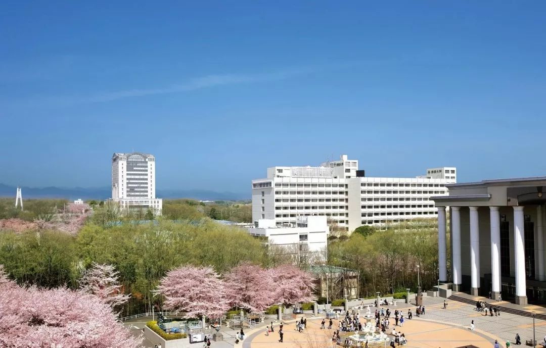 干货丨偏差值40~50的日本私立大学—文科篇