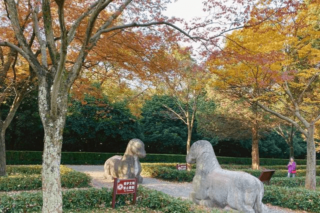 南京一陵墓，被誉为明清第一座陵墓，如今还是5A级景区，不免门票