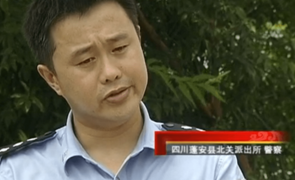 四川某村上百头牛一夜间集体失踪,老汉说是牛群自发行动_王天国