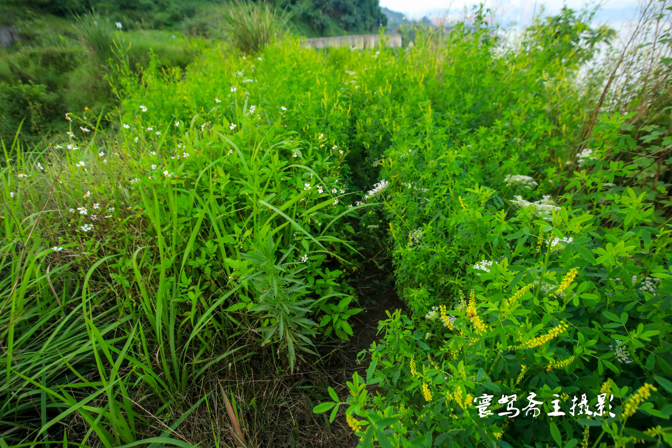 重庆茅溪图片