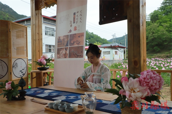 栾川县冷水镇高山牡丹文化节开幕