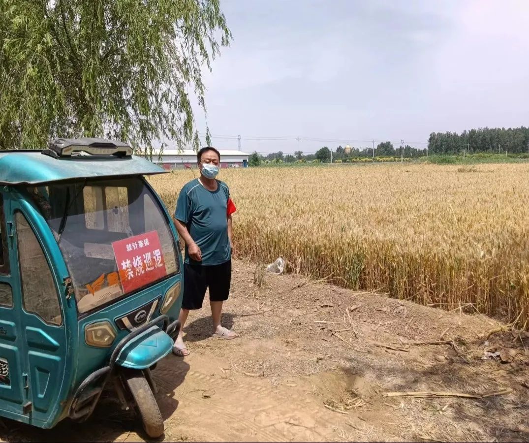 显担当——河北省魏县棘针寨镇强力推进当前重点工作_全镇_张鹤_张现