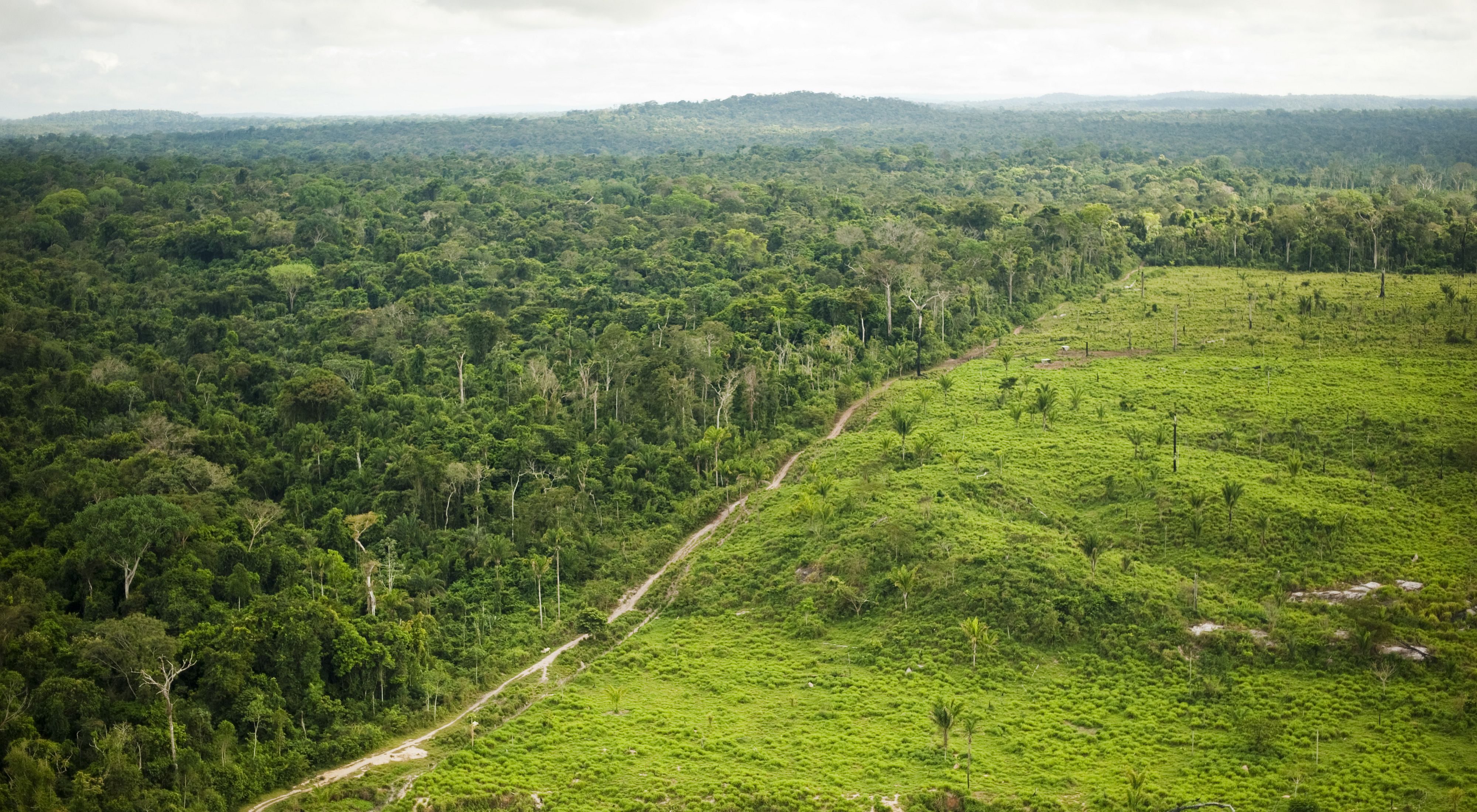亚马逊平原图片
