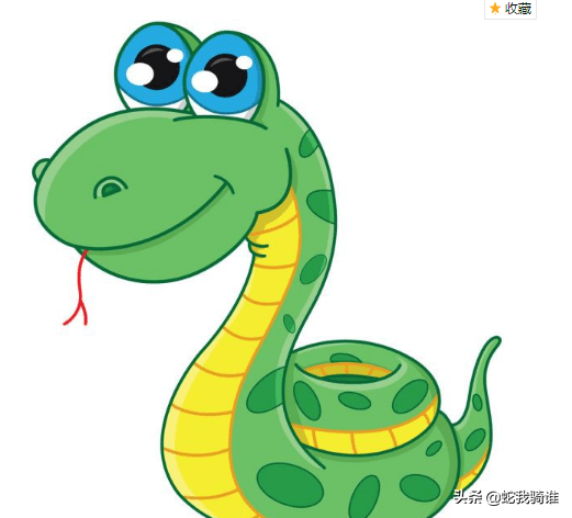 原创中国特有物种大山深处的小青龙被捧上神坛的莽山烙铁头