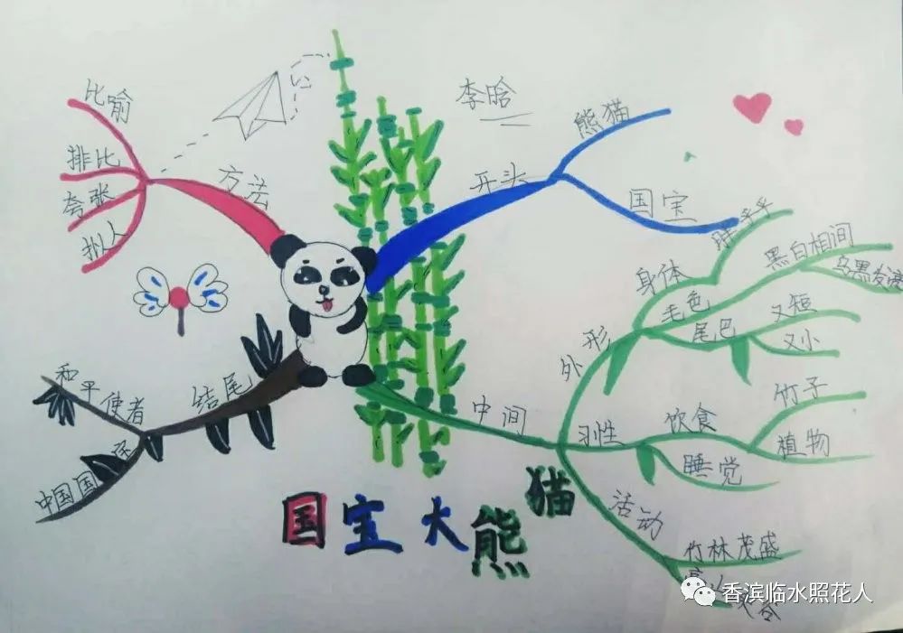 原创思维导图画作文开靖雯国宝大熊猫十二统编三下第七单元习作