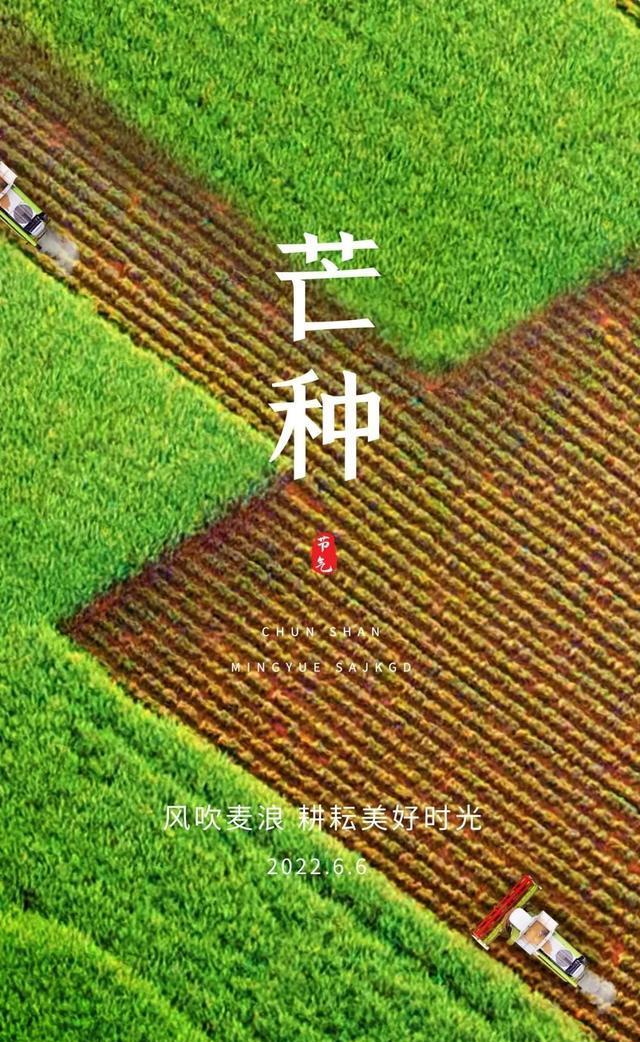 原创芒种图片配图唯美高清大全芒种祝福语朋友圈文案句子