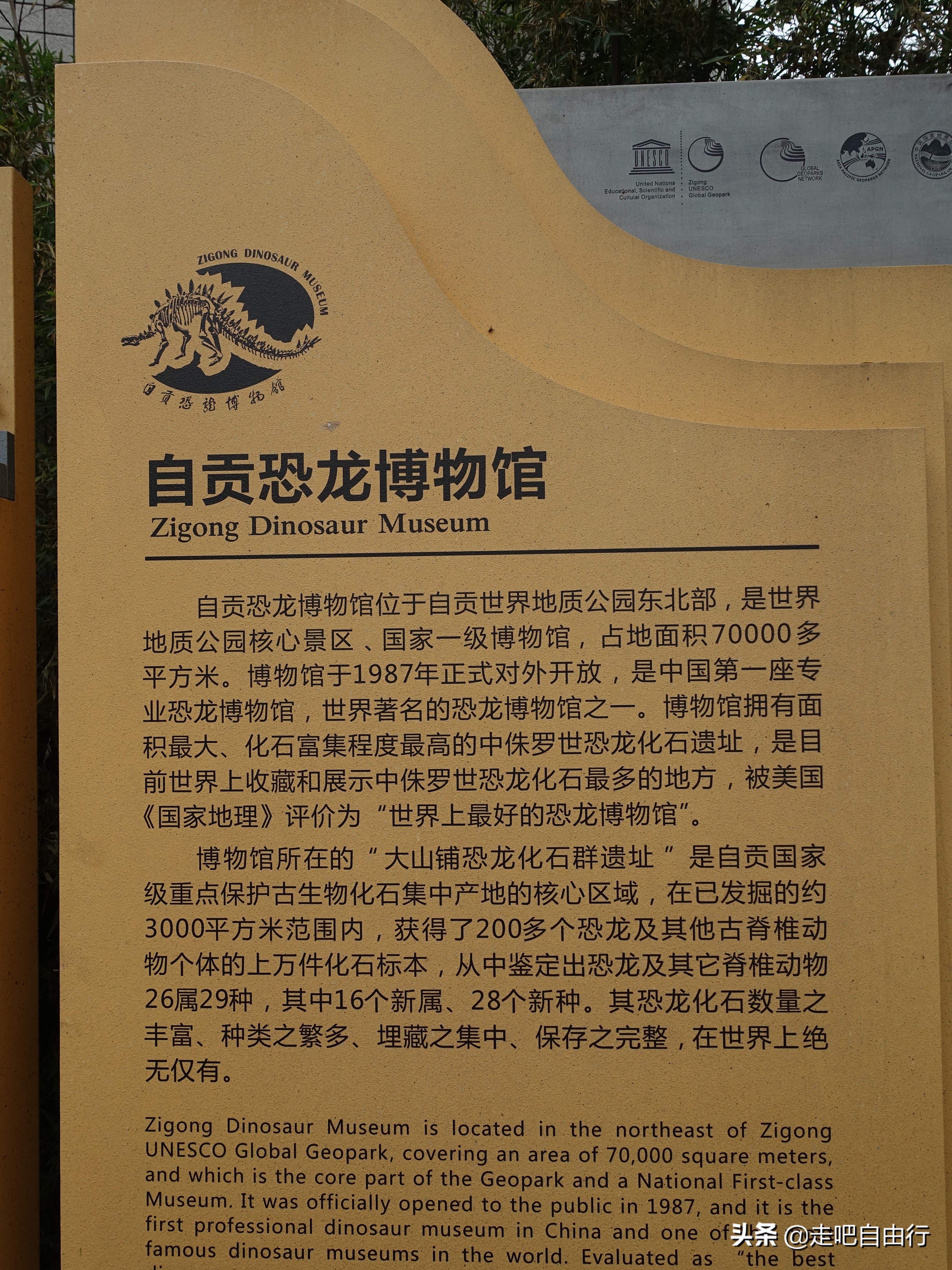 原创走进恐龙遗址群窟号称川南四绝之一的自贡恐龙化石博物馆