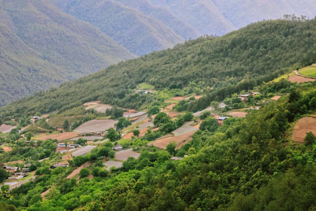 古朴纯净的塔城乡村落,藏着律动千年的歌舞文化_巴村_民族_丽江