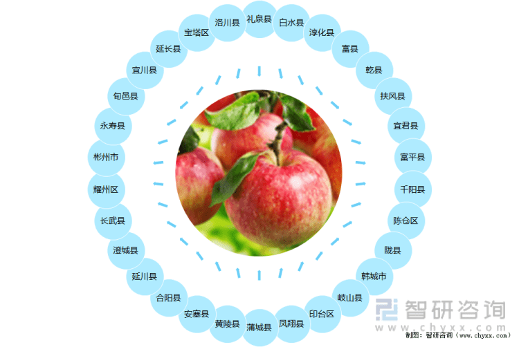 农业苹果产业链图片