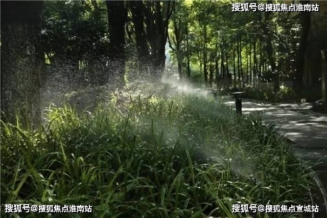 塵埃(每公頃森林每年能吸附50～80噸粉塵),調節溫度與溼度,淨化空氣