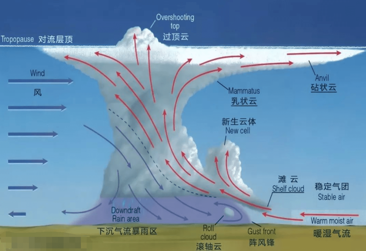 实际上"乳状云"是在积雨云下方形成的乳状型积云,它与我们平时看到的