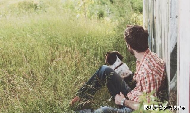 梦回温柔乡，解密梦见受委屈时，男朋友的温柔慰藉的深层含义