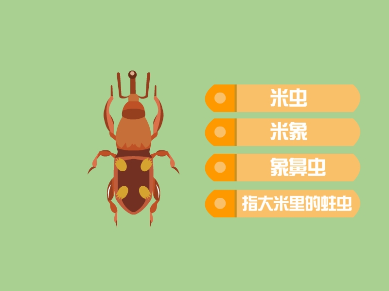 这些不速之客,祸害了一袋又一袋大米_米象_米粒_口器