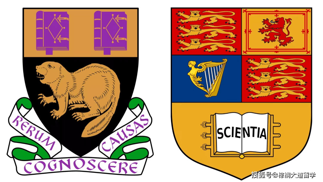 ic 帝國理工 x lse 倫敦政經文理學霸系 cp二,英國大學 cp師生比:都是