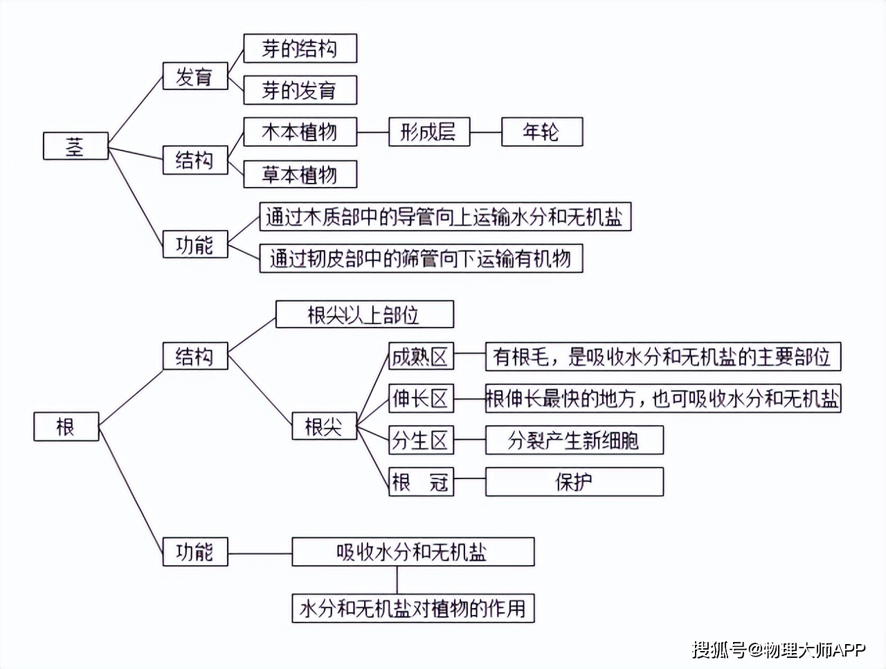 初中生物重要知识点框架图复习必备神器