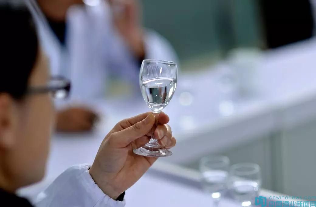 学会品酒让饮酒更有乐趣白酒的品评艺术