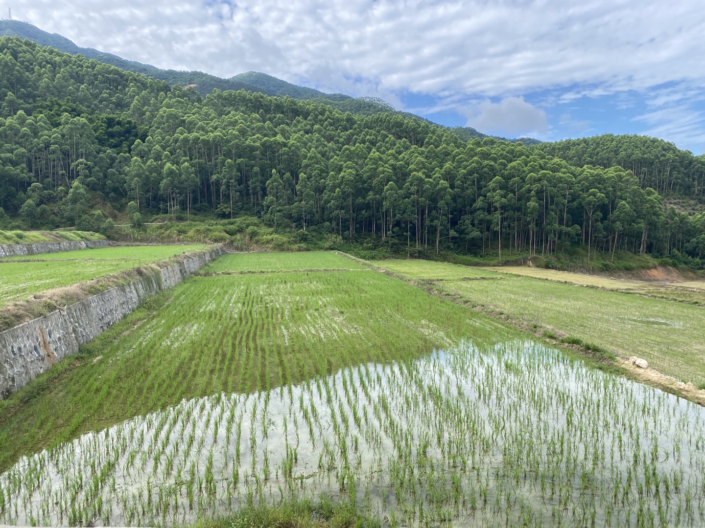 建设美丽乡村垦造水田篇468