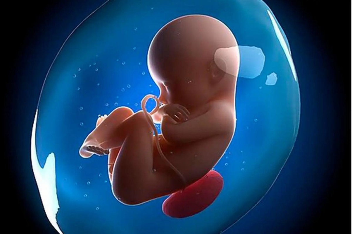 【人工受孕】什么是人工受孕_人工受孕过程是怎样的