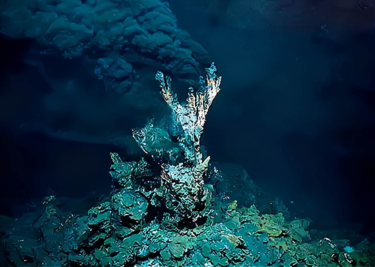 马里亚纳海沟多么奇妙,在海洋最深处的马里亚纳海沟,会是什么样子呢